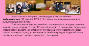 Кем была принята конституция рф 1993г