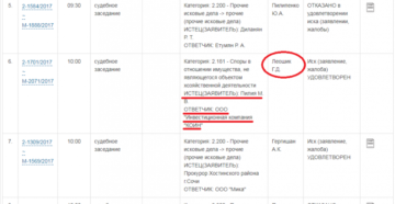 Что значит прочие исковые дела?